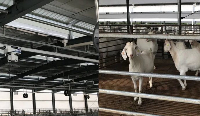 智慧生態養豬廠 智能軌道巡檢機器人（無線充電）