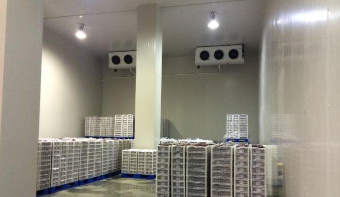 魯渝能源AGV無(wú)線充電系統(tǒng)在冷鏈冷庫(kù)運(yùn)輸?shù)男聭?yīng)用（無(wú)線充電）