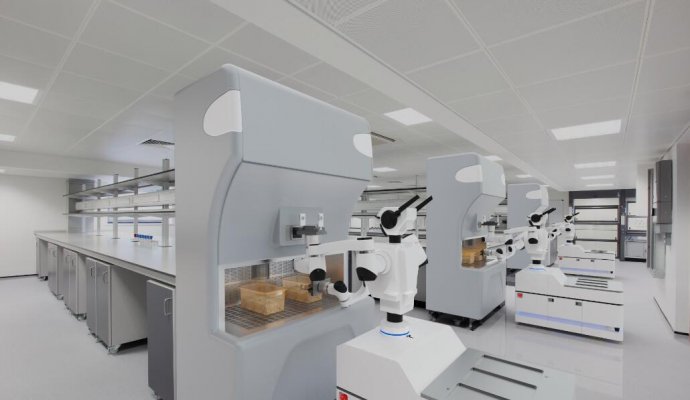 邁向智能制造時代！工業機器人助力生產無限可能！