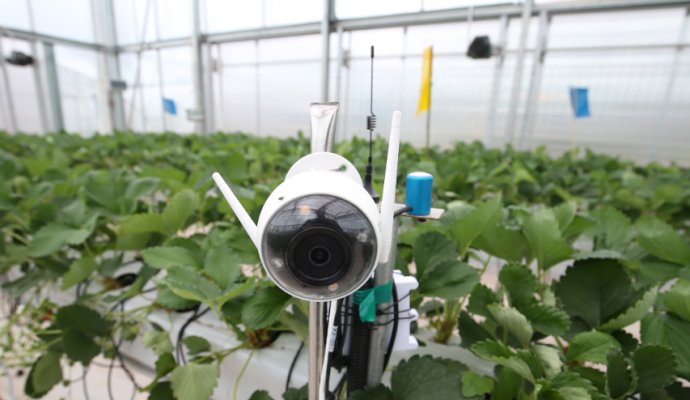 無(wú)線充電技術(shù)賦能智慧農(nóng)業(yè)：畜牧業(yè)機(jī)器人五大應(yīng)用場(chǎng)景