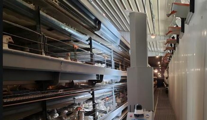 革新蛋雞巡檢：無(wú)線充電技術(shù)開(kāi)啟智能養(yǎng)殖新時(shí)代